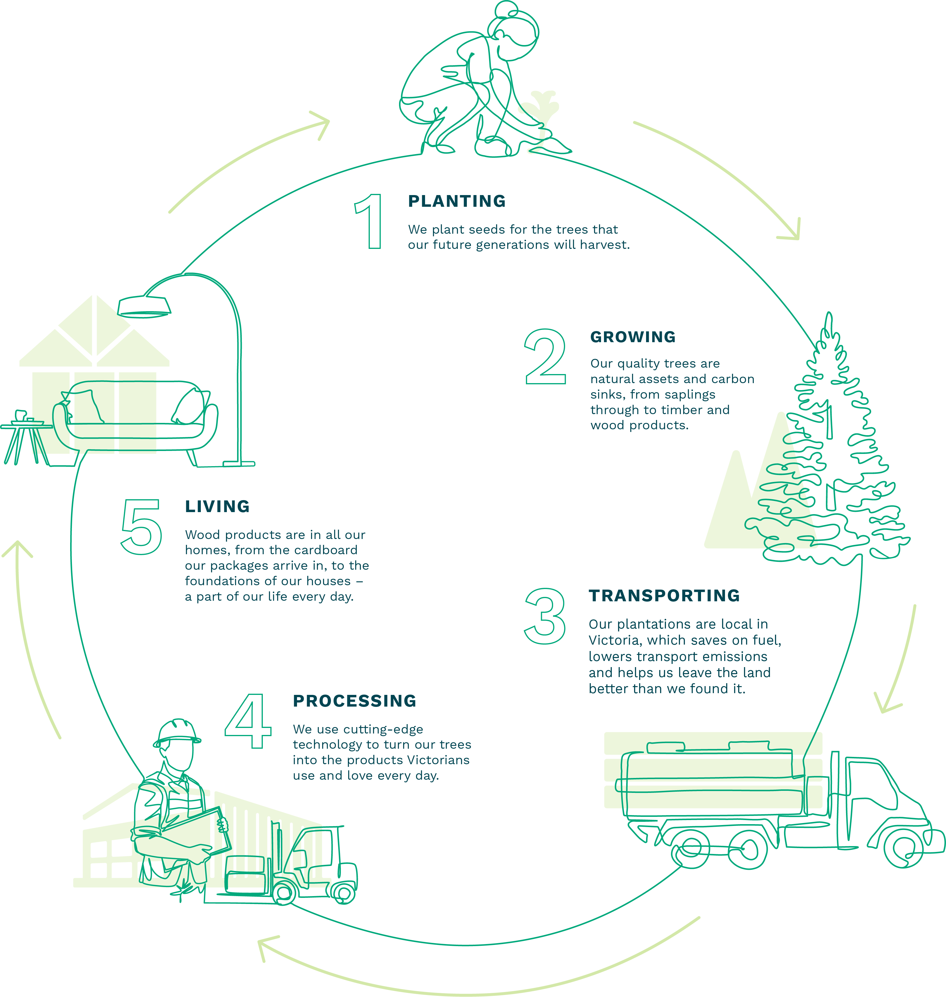 Rethinking Forestry infographic